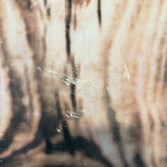 10' x 10' Photo Backdrop Trees Forest Wood Rustic Cloth Fabric 10359 (flaws) - Picture 2 of 5